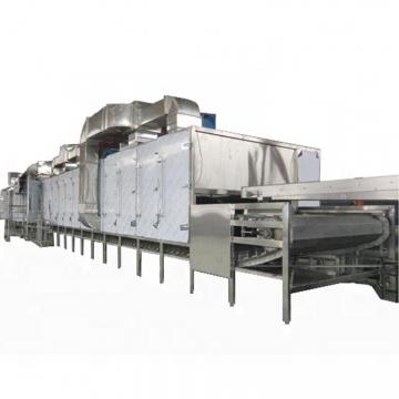 Dw Series Conveyor Mesh Belt Dryer /Drier/ Drying Machine for Ginger /Flower /Leaf